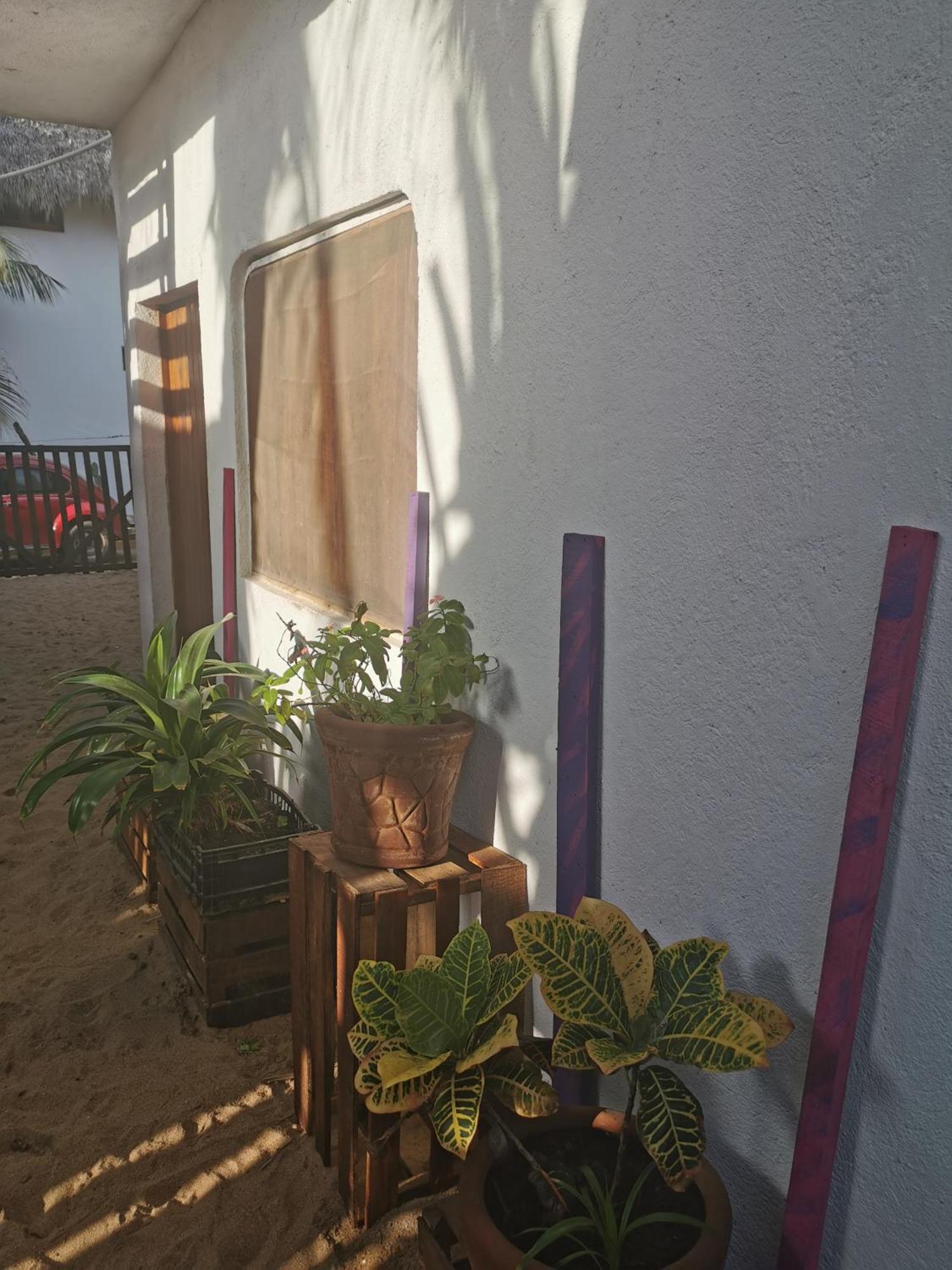 La máxima& LGBT Zipolite Quarto foto